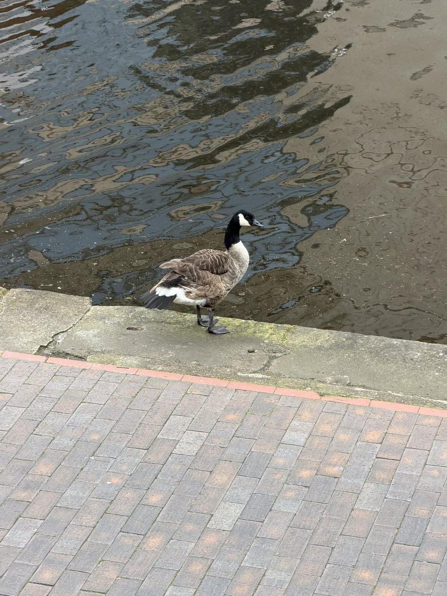 Cait☕️ tweet media