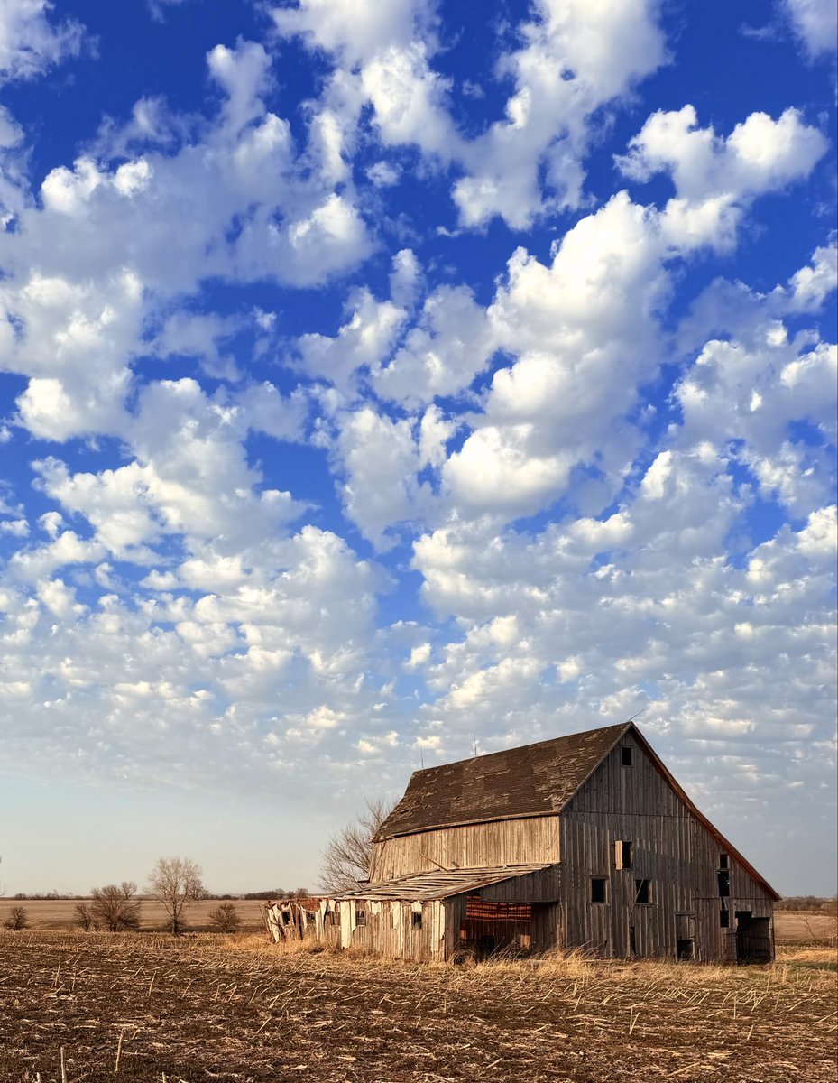 DMiller52325459's tweet image. GM! And Happy Sunday!
#view #photography #frame

For #SundaySharing please share or QP your own favourite #PhotoOfTheWeek. 

There is no theme - anyone can join in, please do!