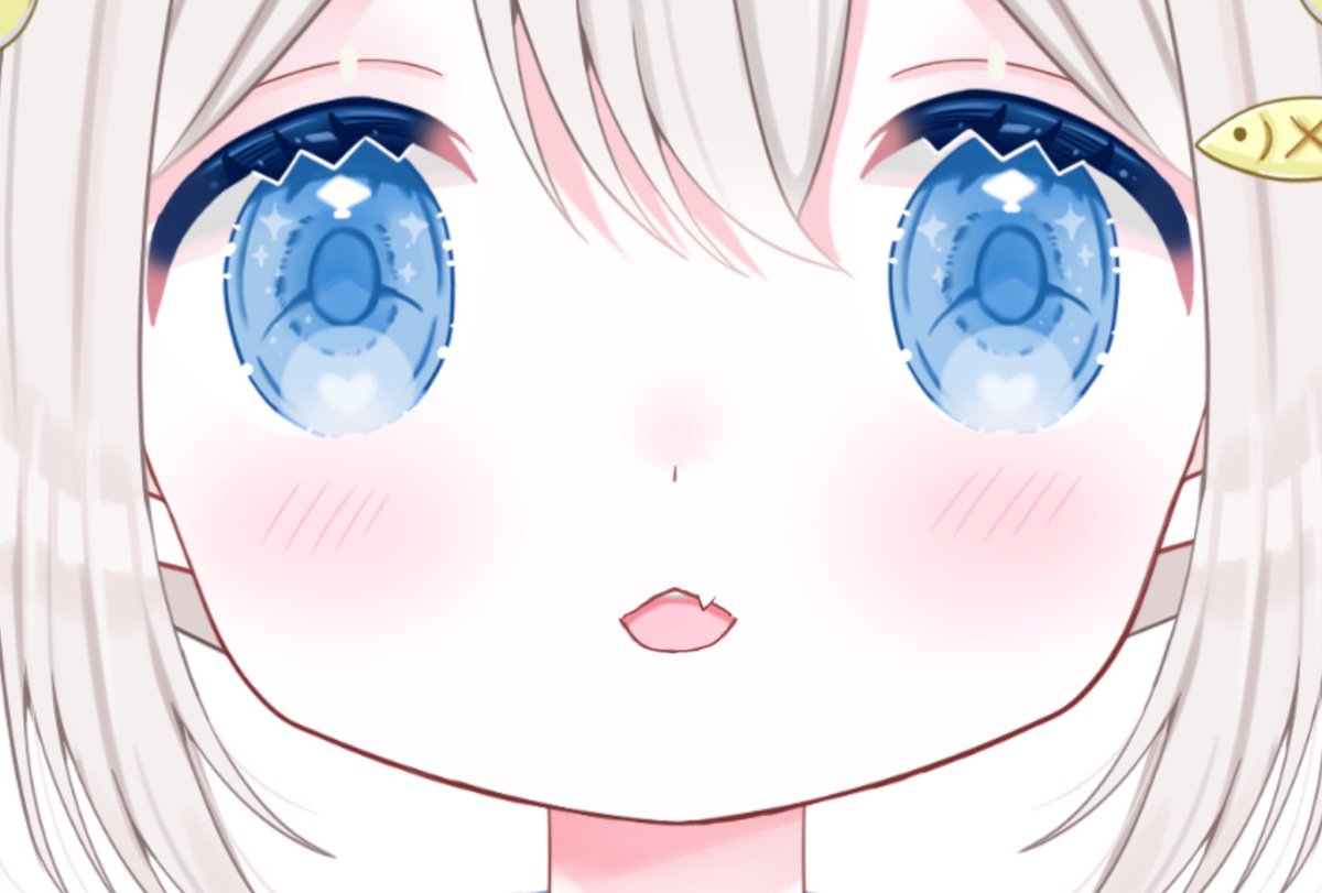 猫雪ぽち&猫雪たま 𓏲𓎨🐾🤍 新人Vtuber tweet media