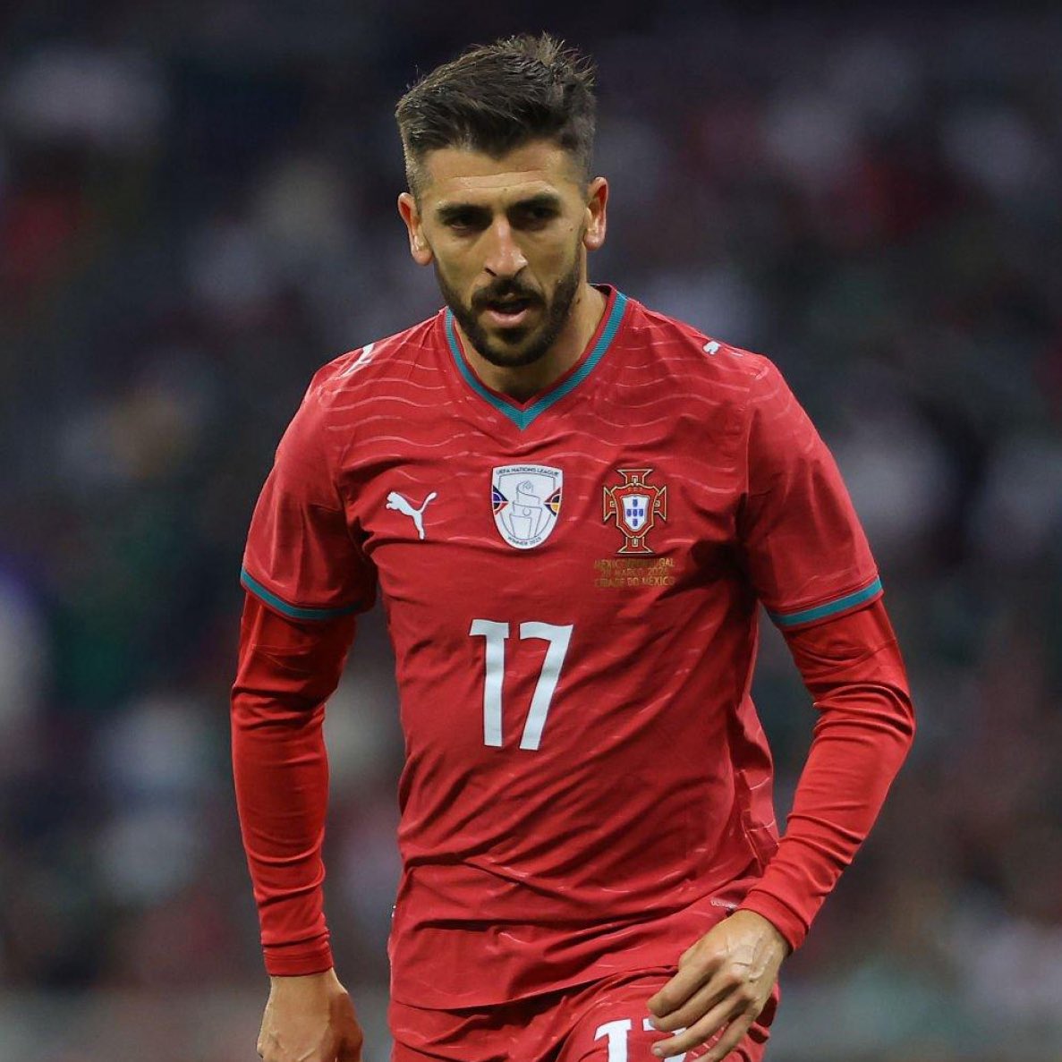 Sporting CP Adeptos BACKUP tweet media