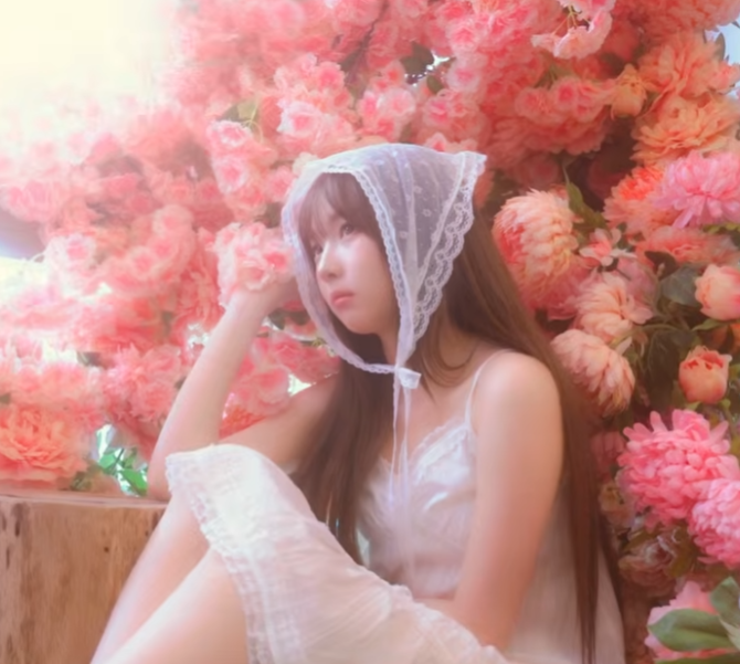 오미자차 tweet media