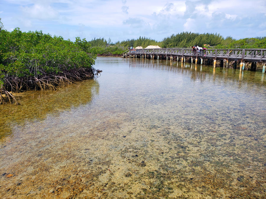 Native Stew 🇧🇸 tweet media