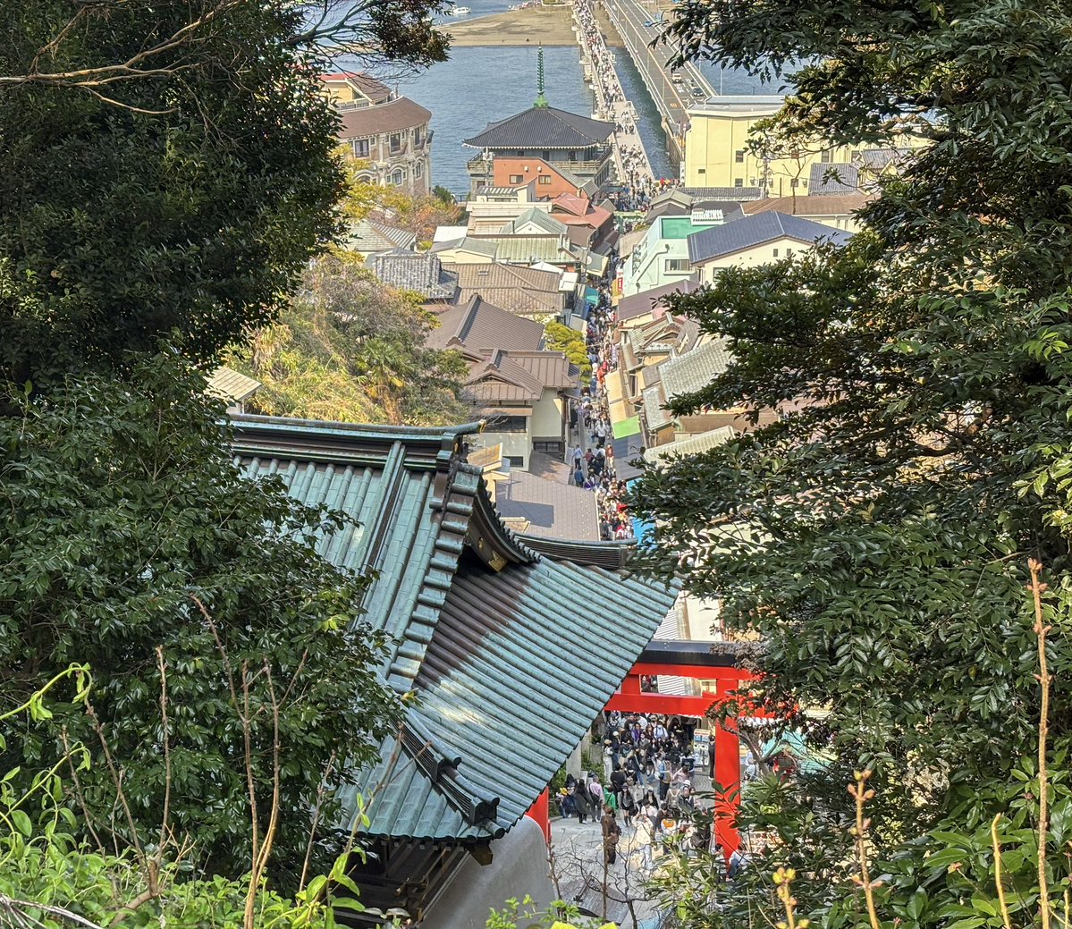 ひばな tweet media