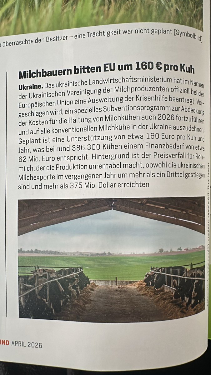 Kempersbuur tweet media