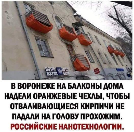 dama bez sobachky tweet media