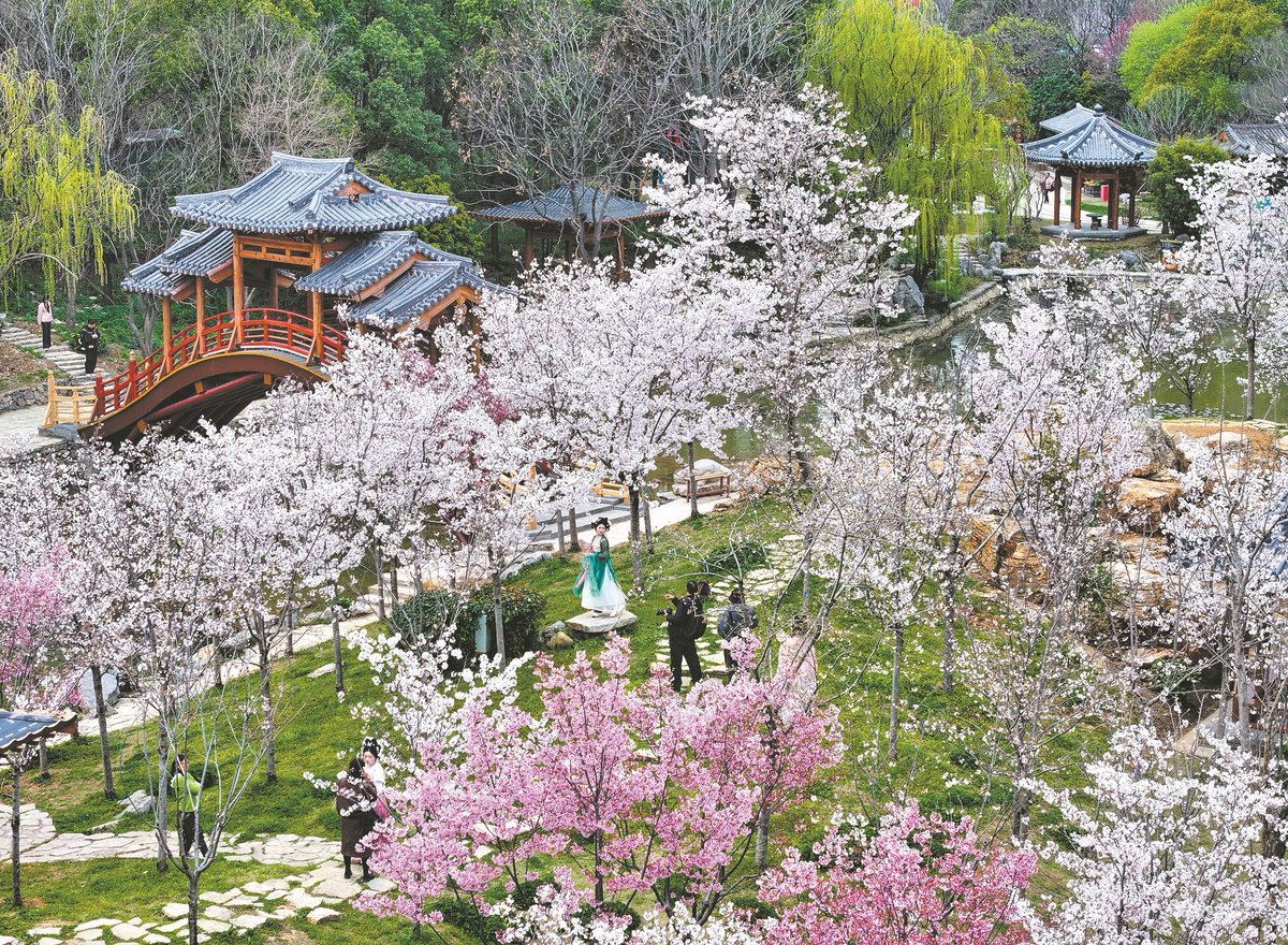 Amazing Xiangyang tweet media