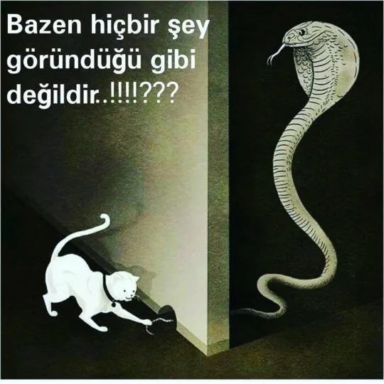 Hayat sürprizlerle doludur