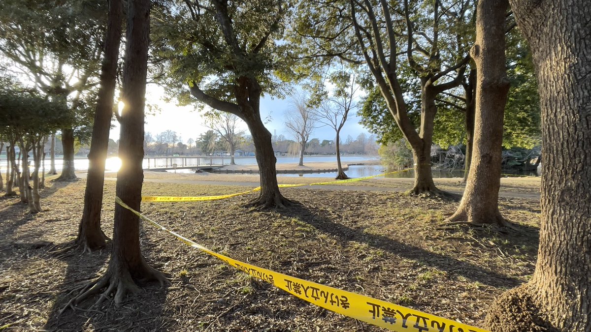 savethemovie's tweet photo. 最高のエンディングでした
最終回に備えて公園散歩してきて良かったです
 #日曜劇場リブート https://t.co/QbRdyv95PS