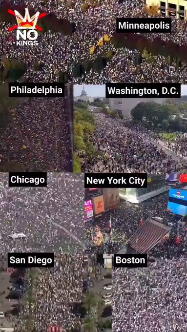 FreeMindWoman 🇺🇸 tweet media