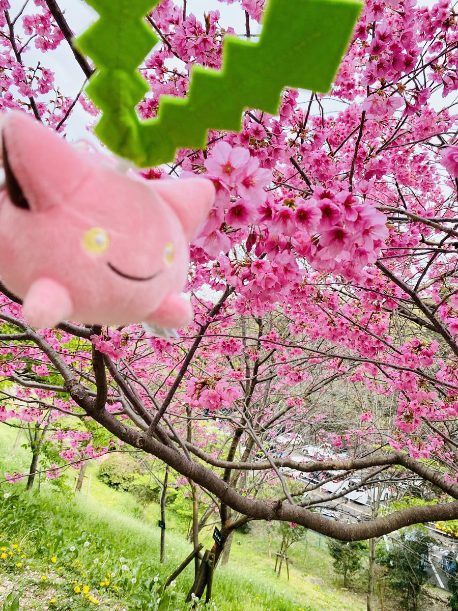 てくのん tweet media