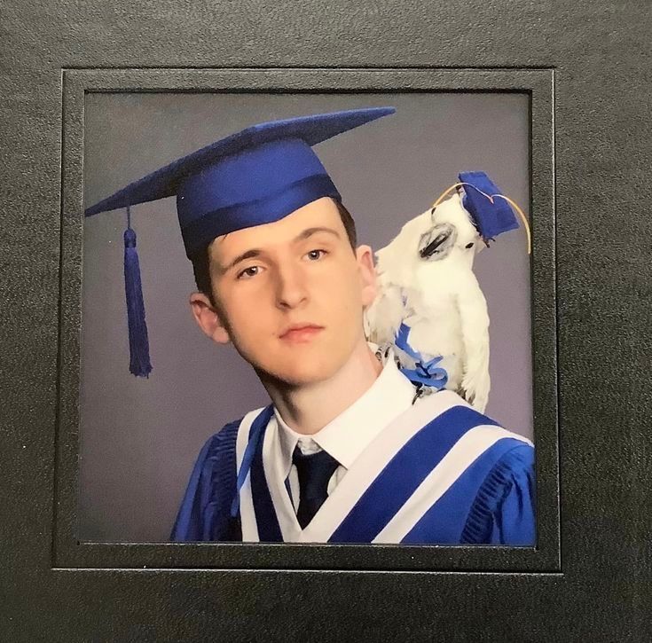 Out of Context Birds (@contextbirds) on Twitter photo 