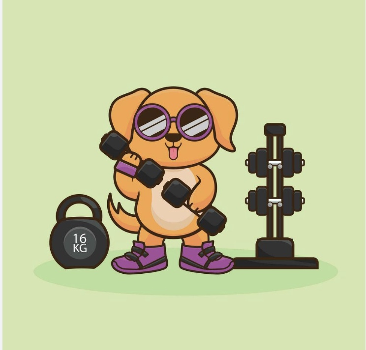 Lisa Scottoline tweet media