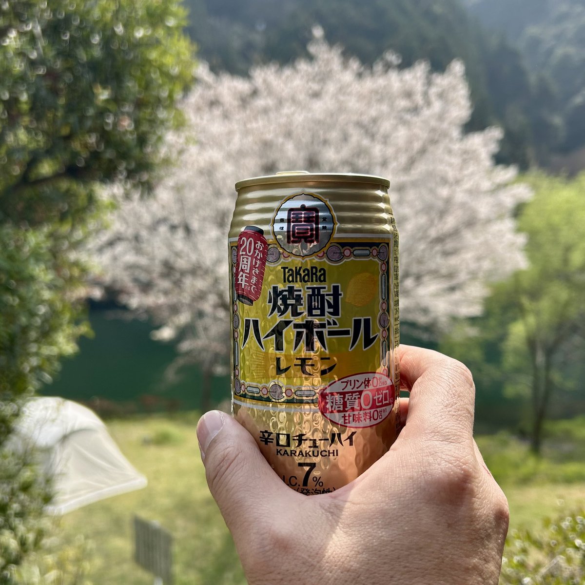 おだづもっこ/今日のこと tweet media