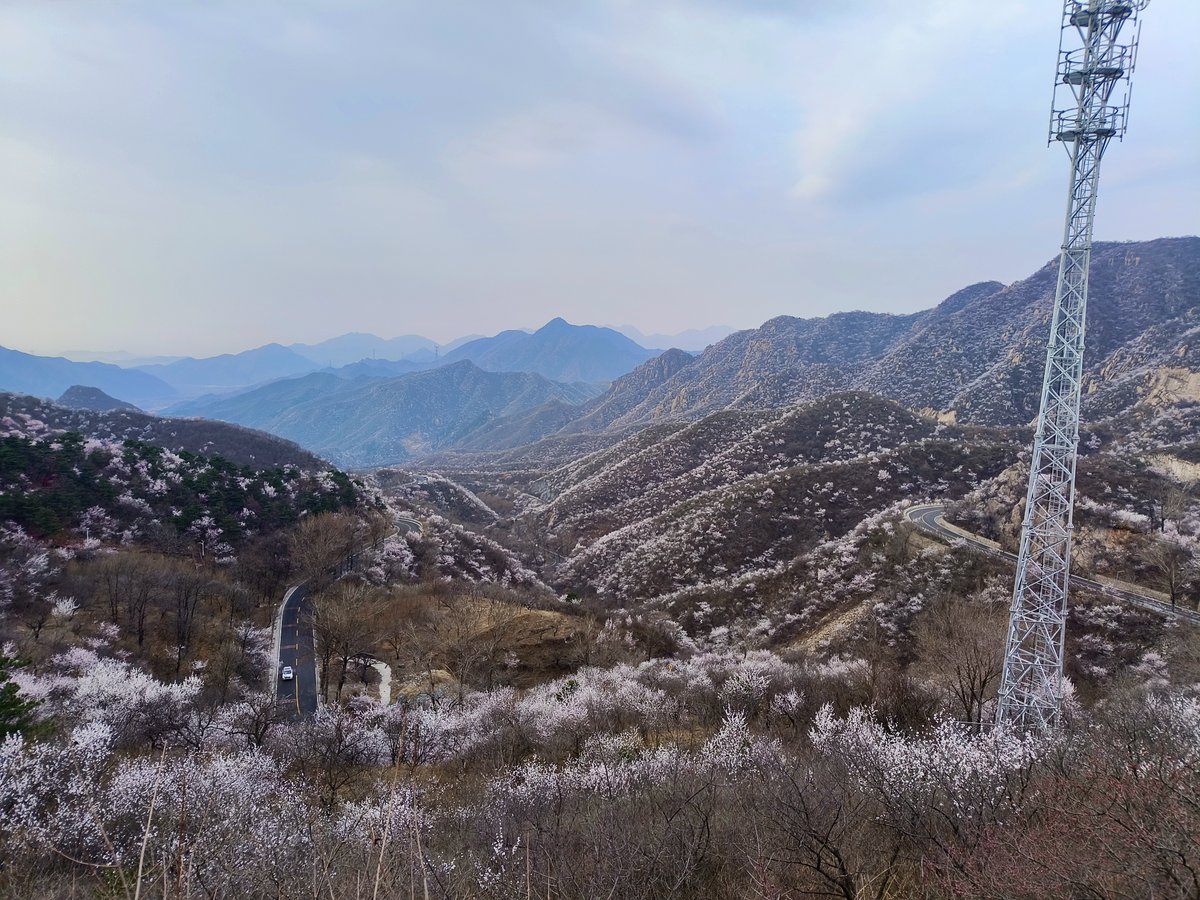 Ruby_Saturn's tweet photo. Tour of Jiezishi, and Yongning Ancient Town, in the northern mountainous area of Beijing.
解字石-永宁溜达
2026.03.29 https://t.co/KhazzXPtC6