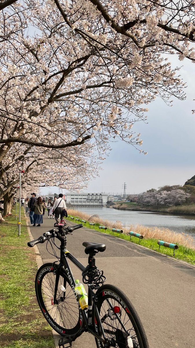 あにゃ tweet media