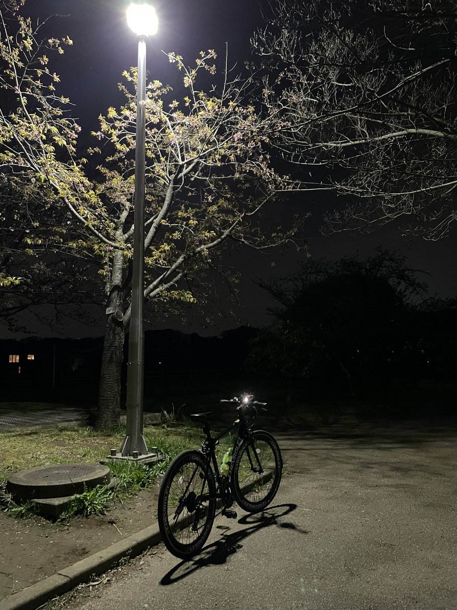 あにゃ tweet media