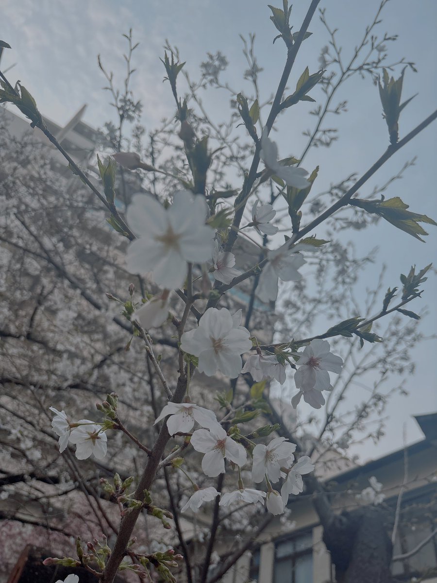 うんこ tweet media