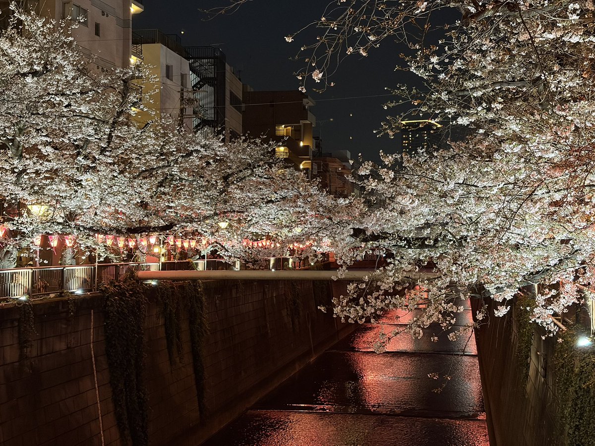 tkdlxhs's tweet photo. お花見の季節🌸 https://t.co/H30nQwnkho