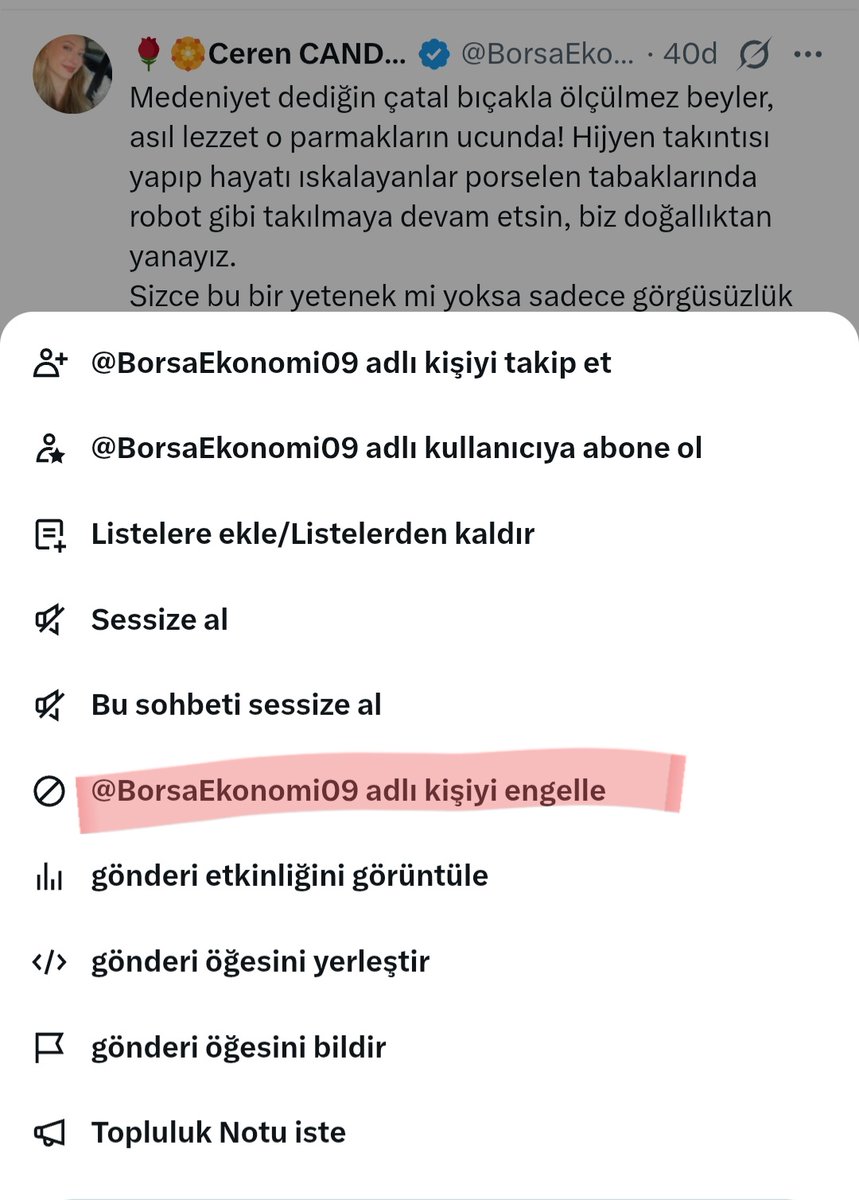 Mert Demir tweet media