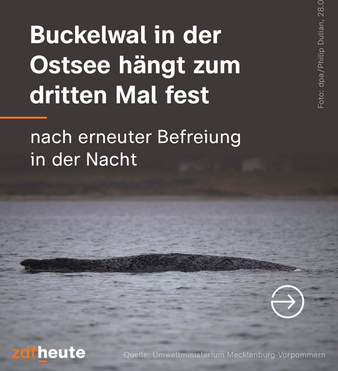 𝙎𝘼𝙆𝙄 🗯 tweet media