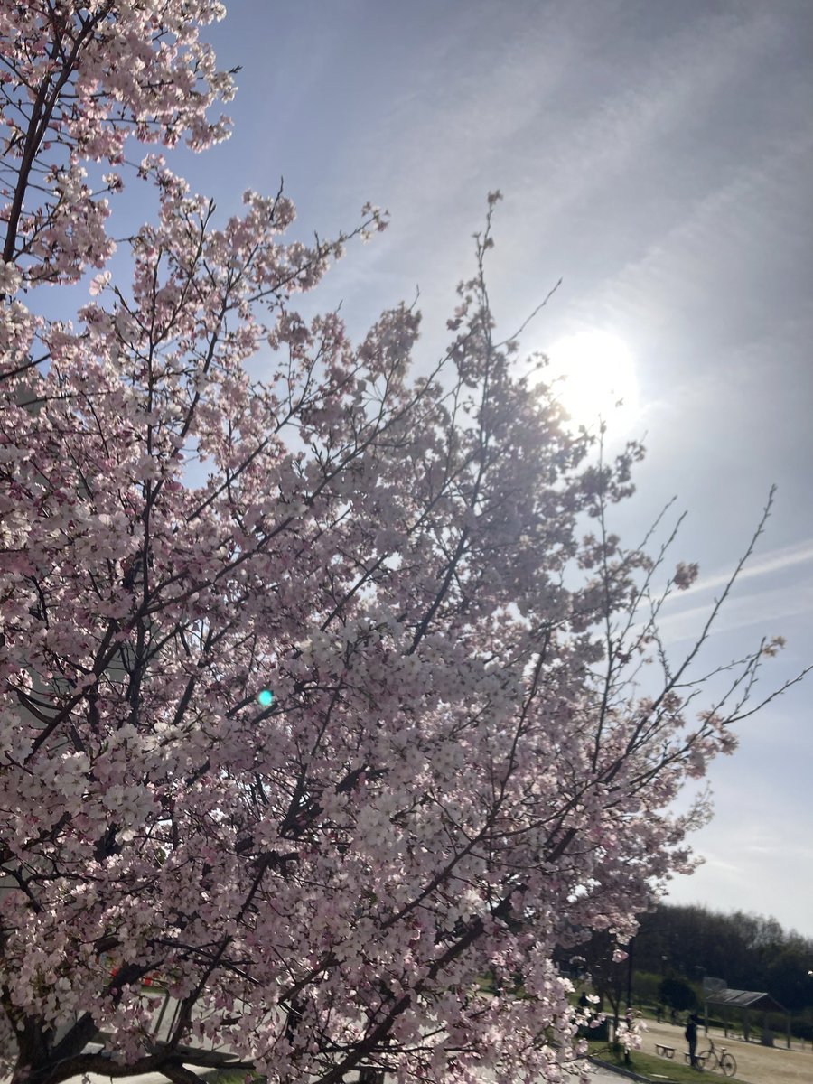 レジェンド家康公天下泰平組 tweet media