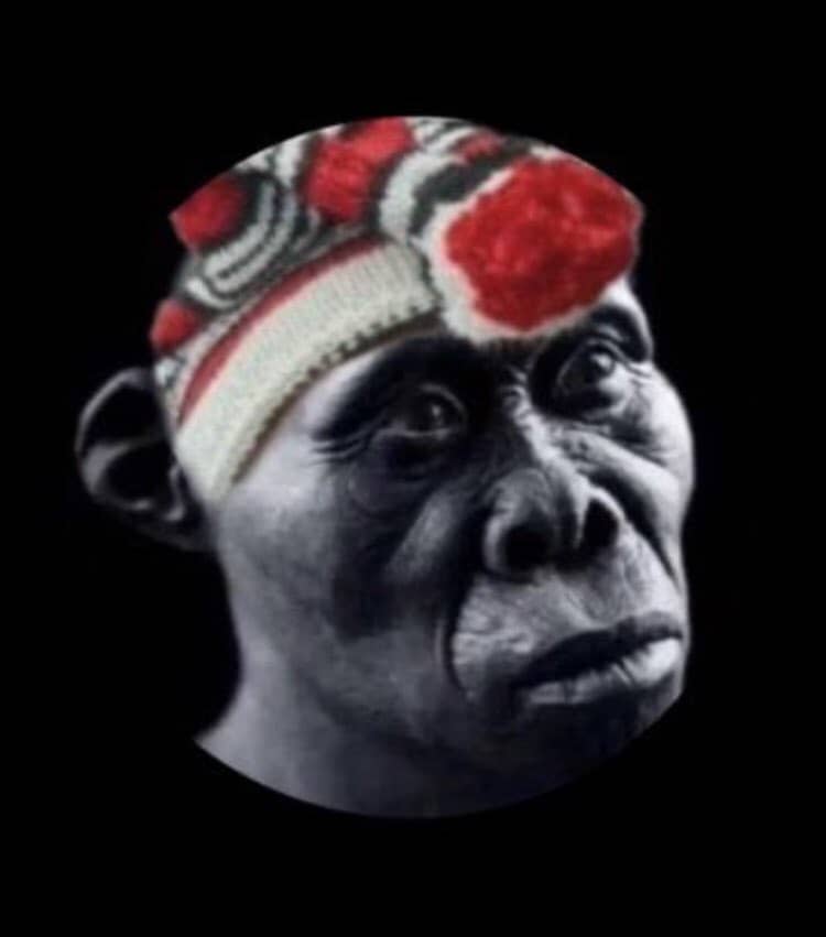 THE COMRADE tweet media