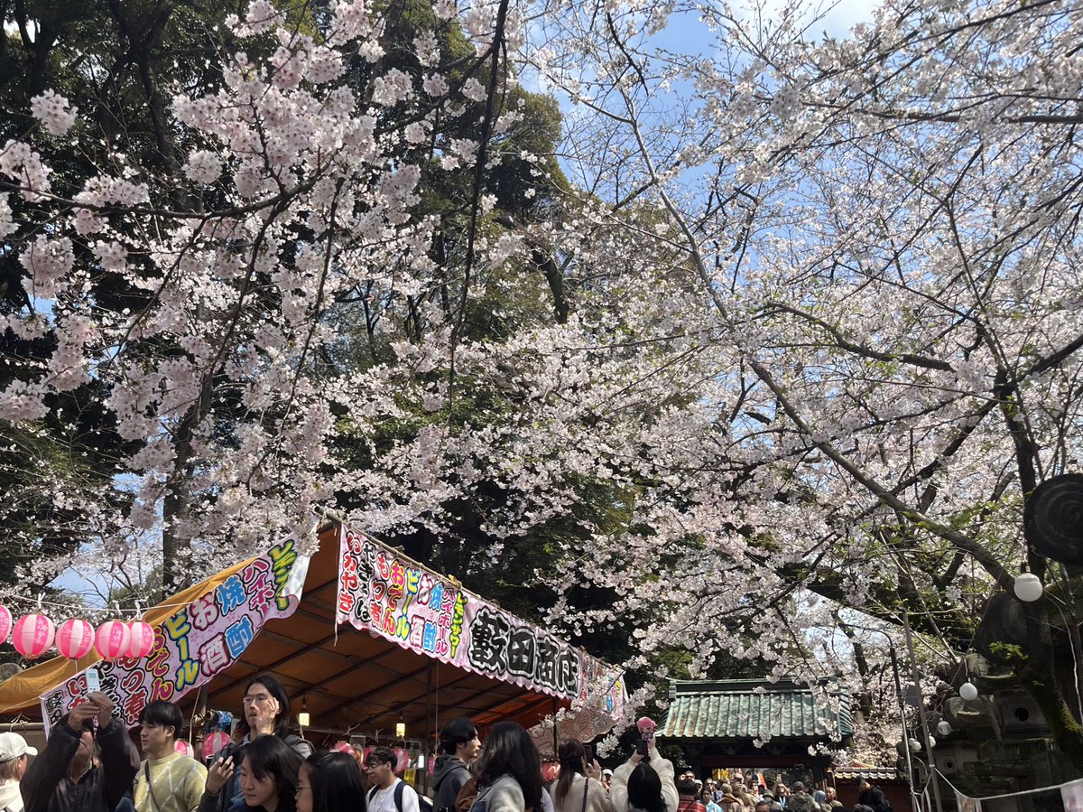 愛長パンダ tweet media