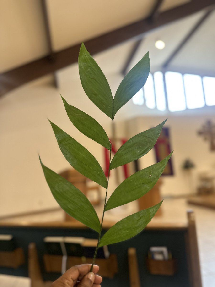 Renea Nichols tweet media