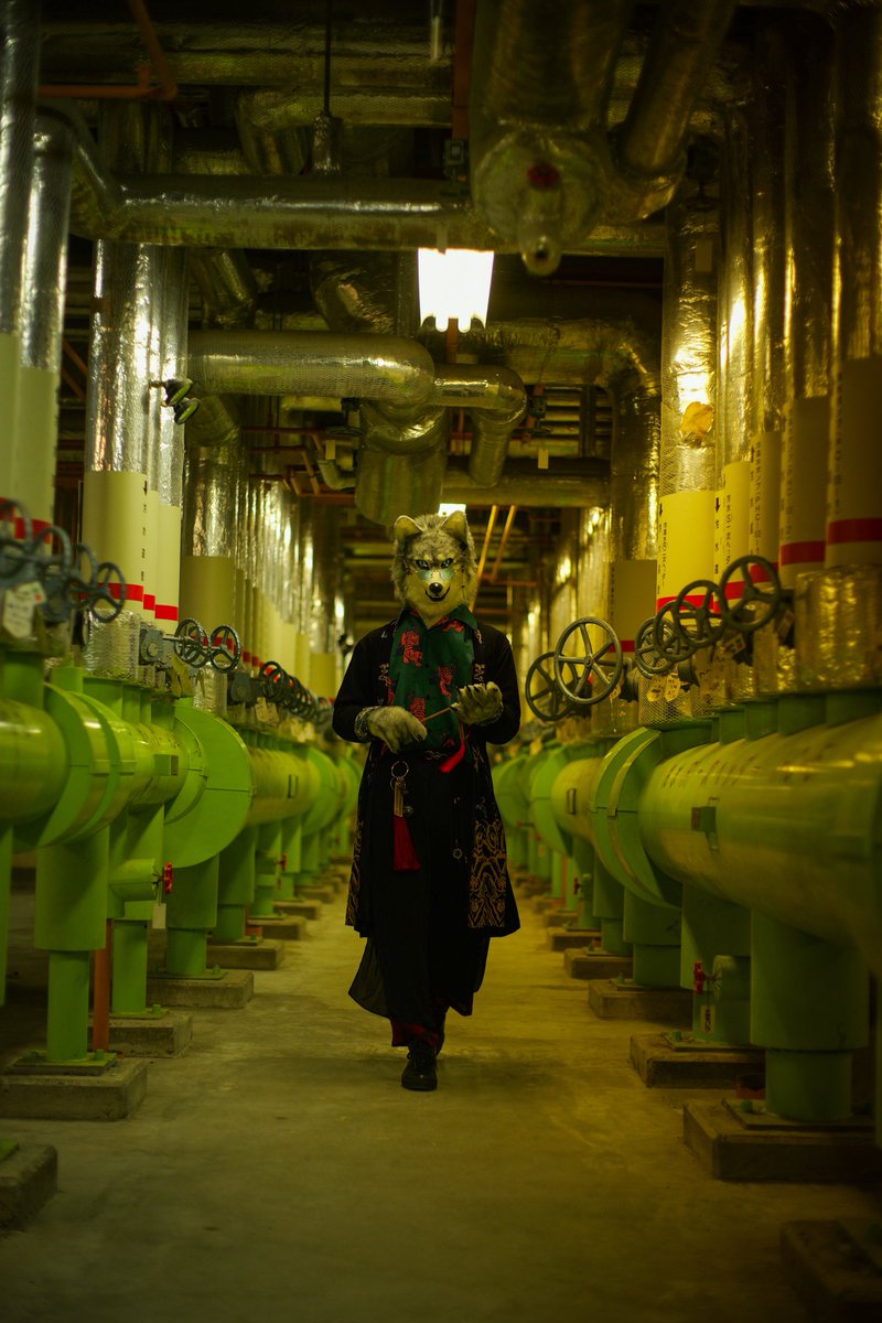 ノシ🔜関西けもケ(着ぐるみ枠) tweet media