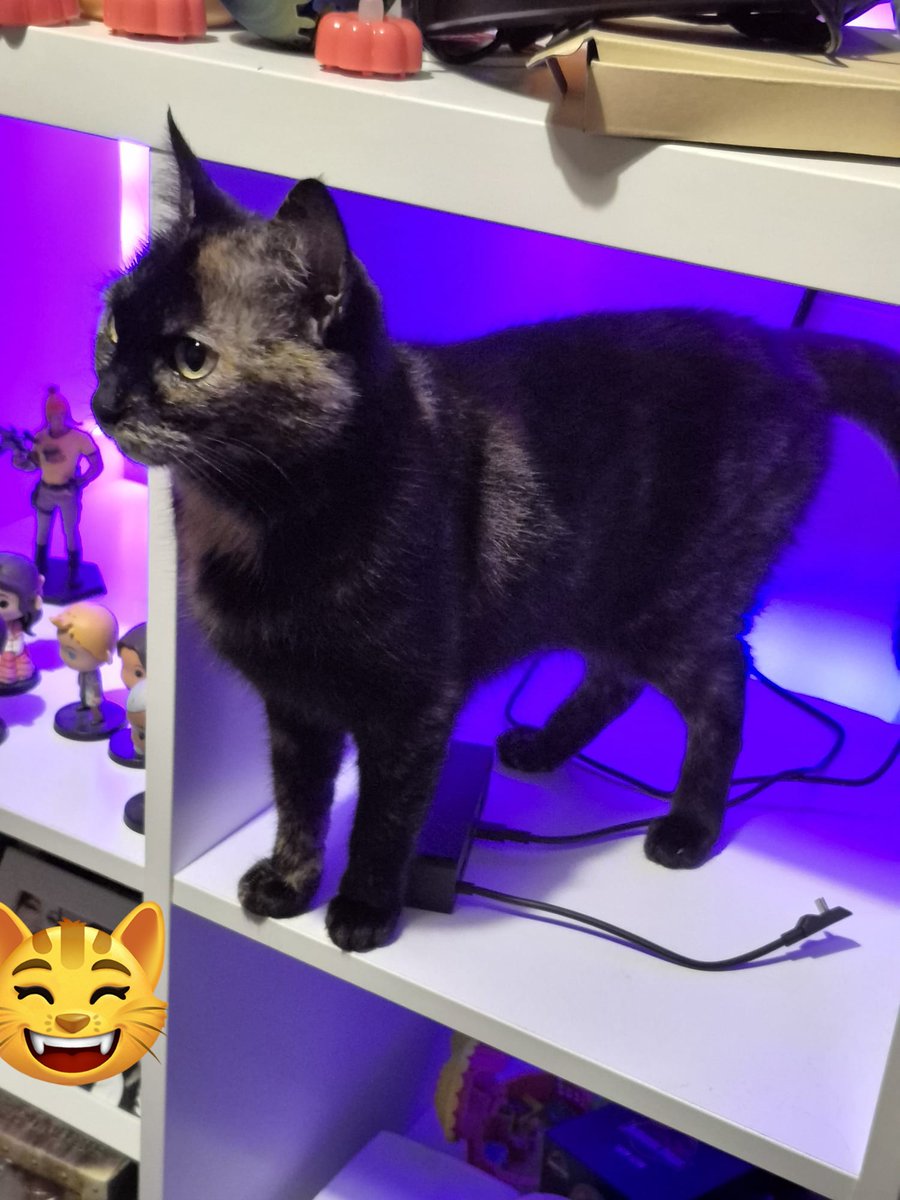 Shrimpchu🎃 tweet media