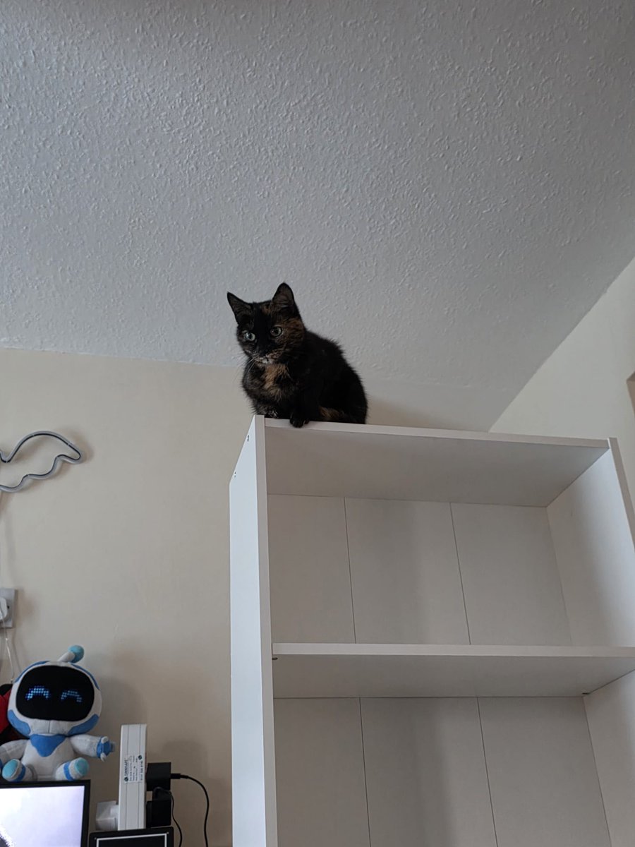 Shrimpchu🎃 tweet media