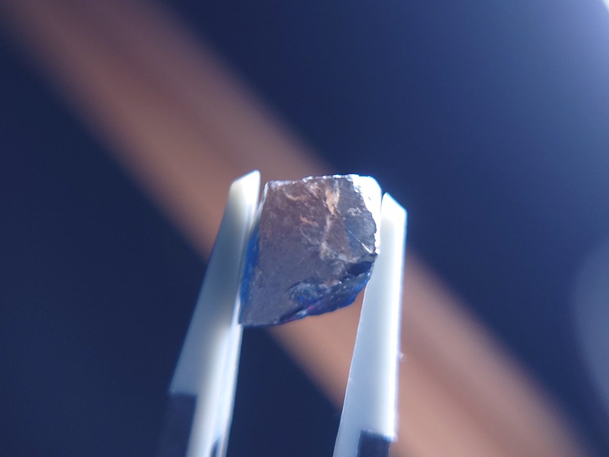 ゆきとの巡る日常 tweet media