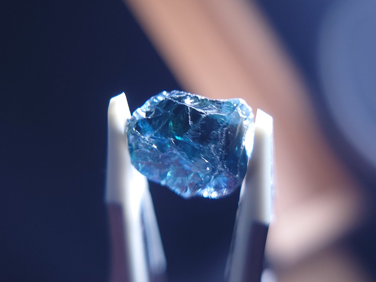 ゆきとの巡る日常 tweet media