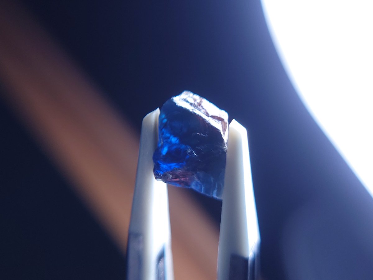 ゆきとの巡る日常 tweet media