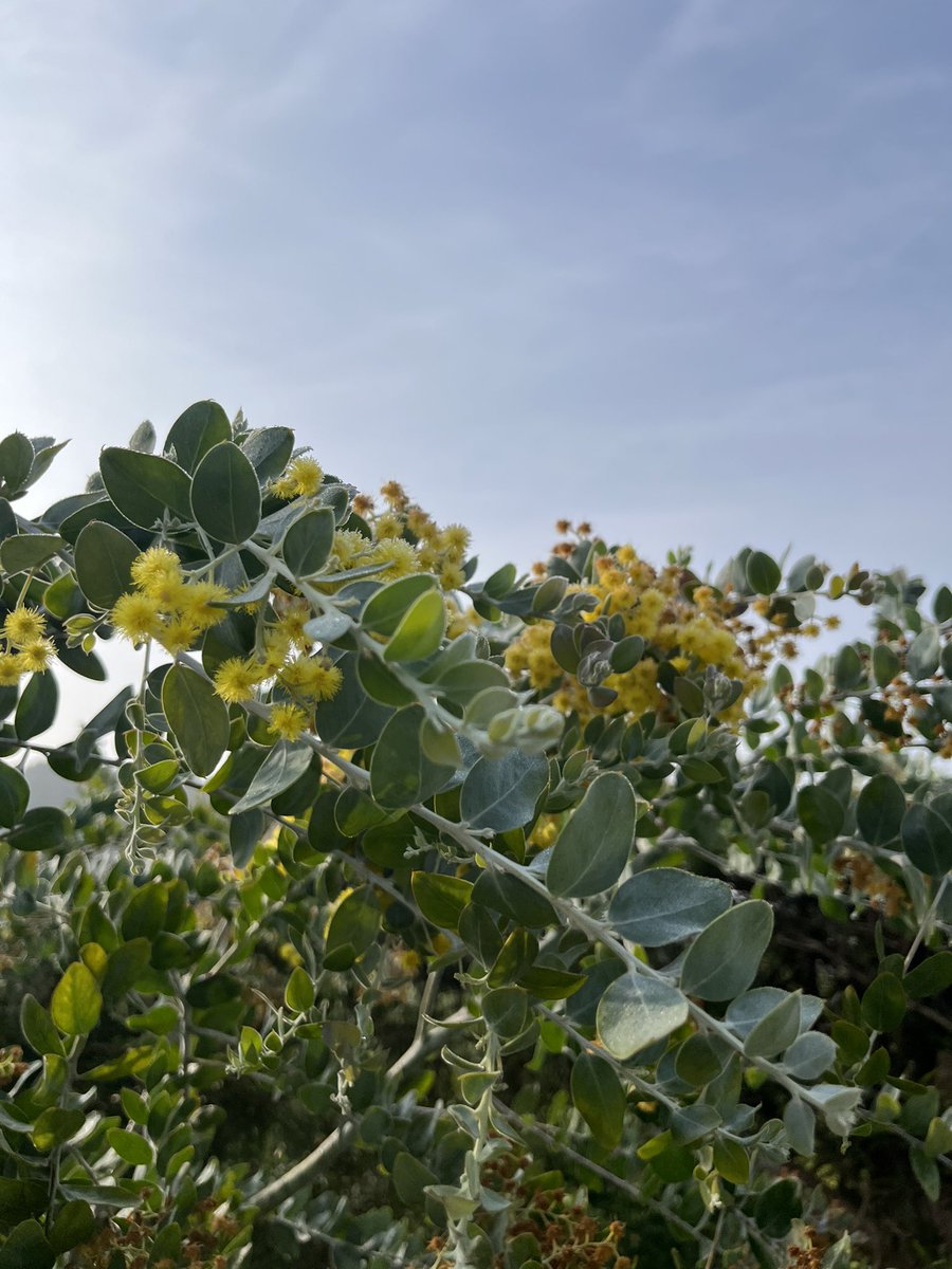 こはたろ支店長 tweet media