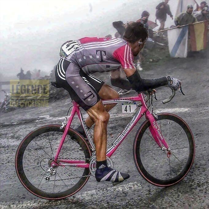 José Domínguez 💯🏆🦇 tweet media