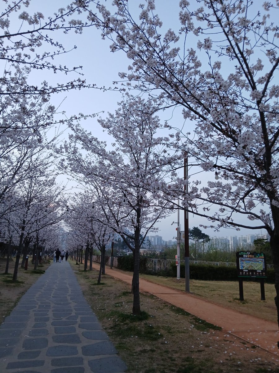 soap_yeonsung's tweet photo. 💙💛팀부산 아랑해💜💚
다음 모임땐 요술봉 포카 꼬옥 찍어요✨️ https://t.co/94SQiFJr3N