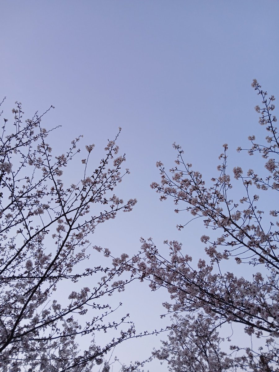 soap_yeonsung's tweet photo. 💙💛팀부산 아랑해💜💚
다음 모임땐 요술봉 포카 꼬옥 찍어요✨️ https://t.co/94SQiFJr3N