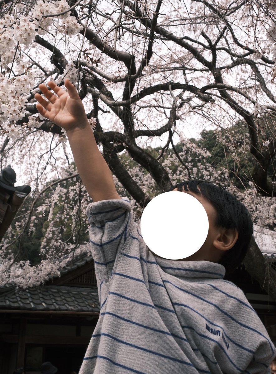 きつつき tweet media