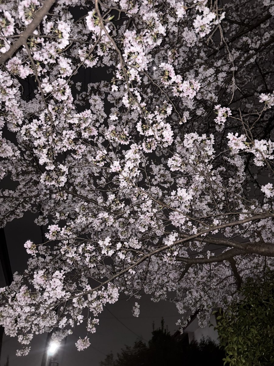 三権倒立 tweet media