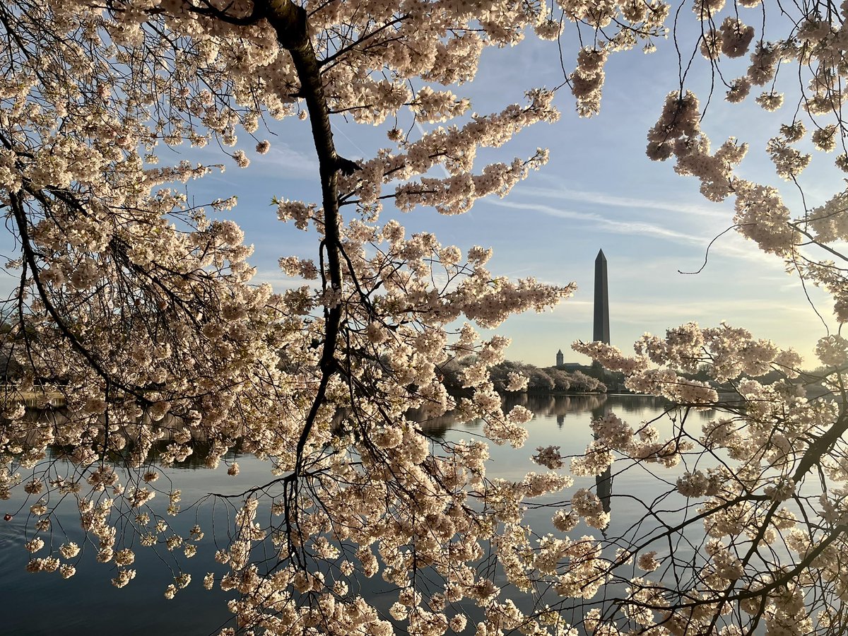 Mandy N. Murphy tweet media