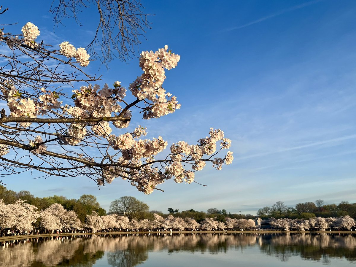 Mandy N. Murphy tweet media