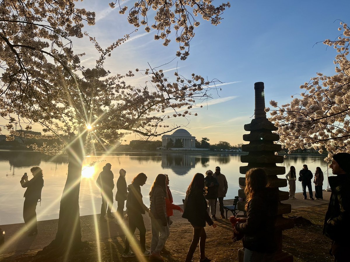 Mandy N. Murphy tweet media