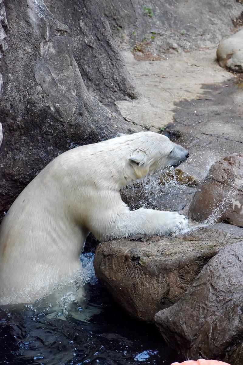 あかね akane tweet media