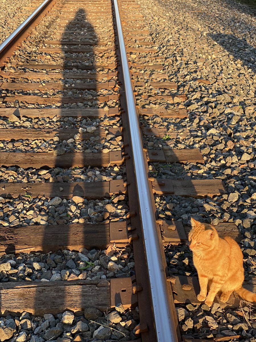 🇺🇸✦ᎬᎠ✦🇺🇸 tweet media