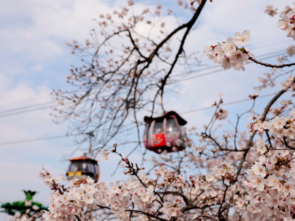 すみ𖦞 tweet media