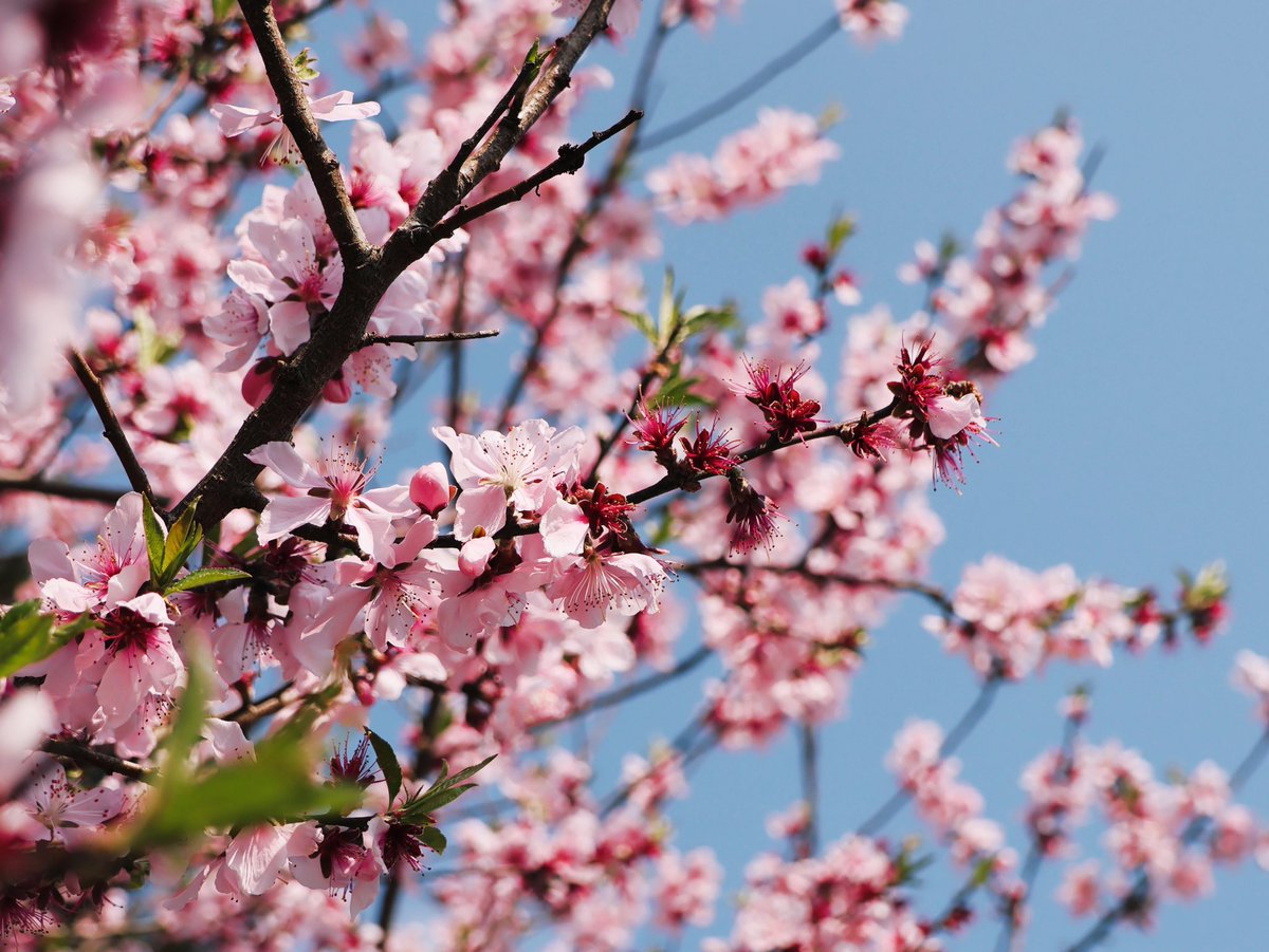 すみ𖦞 tweet media