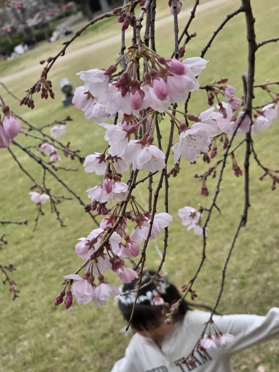 ちゃっと〄 tweet media