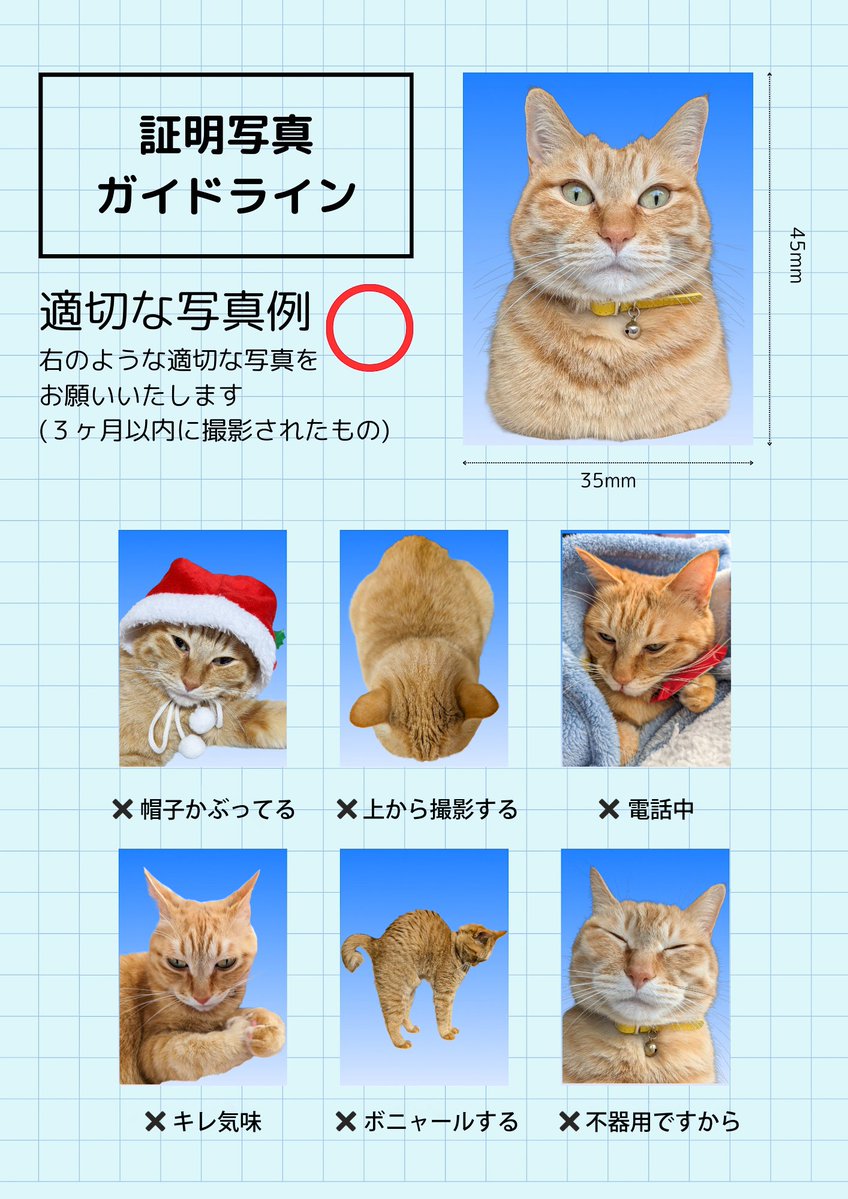 証明写真ガイドライン