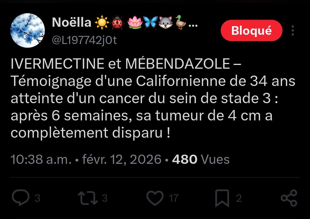 Maître Alice NO KINGS land 🏳️‍🌈🏳️‍🌈 tweet media